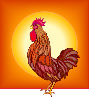 Graphic: Rooster at sunrise